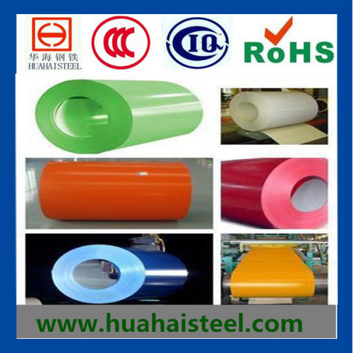 Color Coated Steel Sheet in Coil/PPGI/PPGL