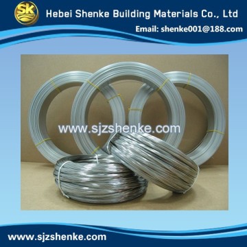 China Professional Good Electro Galvanized Iron Wire