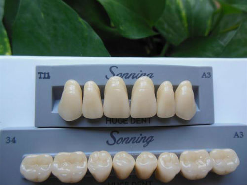 CE certification synthetic polymer teeth