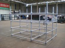 Cup Lock System Scaffold