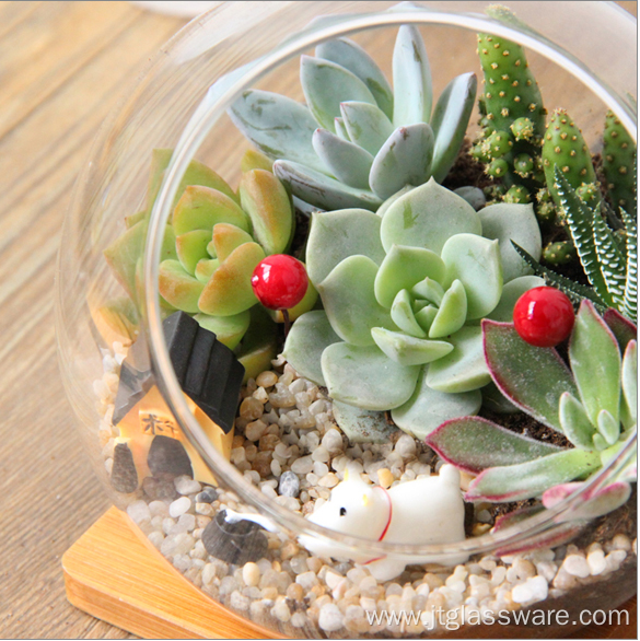 Hand Blown Faceted Glass Succulent Terrarium Geometric