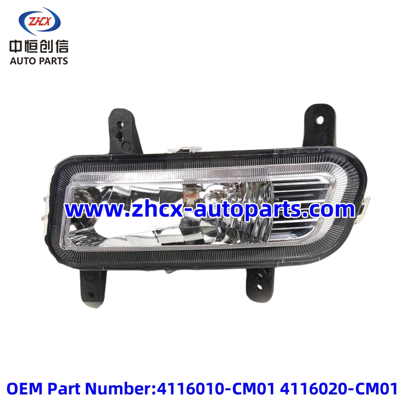 ডিএফএসকে কে 07 এস এর জন্য ফ্রন্ট ফগ ল্যাম্প Front fog lamp for DFSK K07S