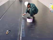 Solvent Based rubber paint