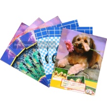 Customized School Supplies Factory: Wholesale Notebooks and Learning Materials for Students