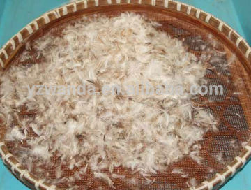 New 70% grey duck feather manufactory in China