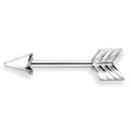 Titanium Arrow Top Straight Barbell Era Kartilago