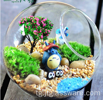 Овезон Glass Globe Ball Заводи Glass Terrarium