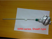 Sheath Type Thermocouple Temperature Switch (WRN)