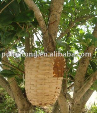 bamboo bird nest pocket