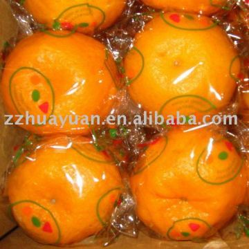 Fresh Orange Mandarin