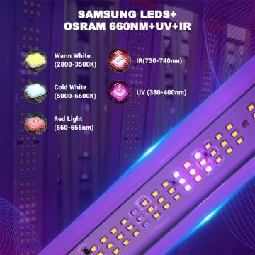 Canais duplos UV IR Dimmable LED crescer luz