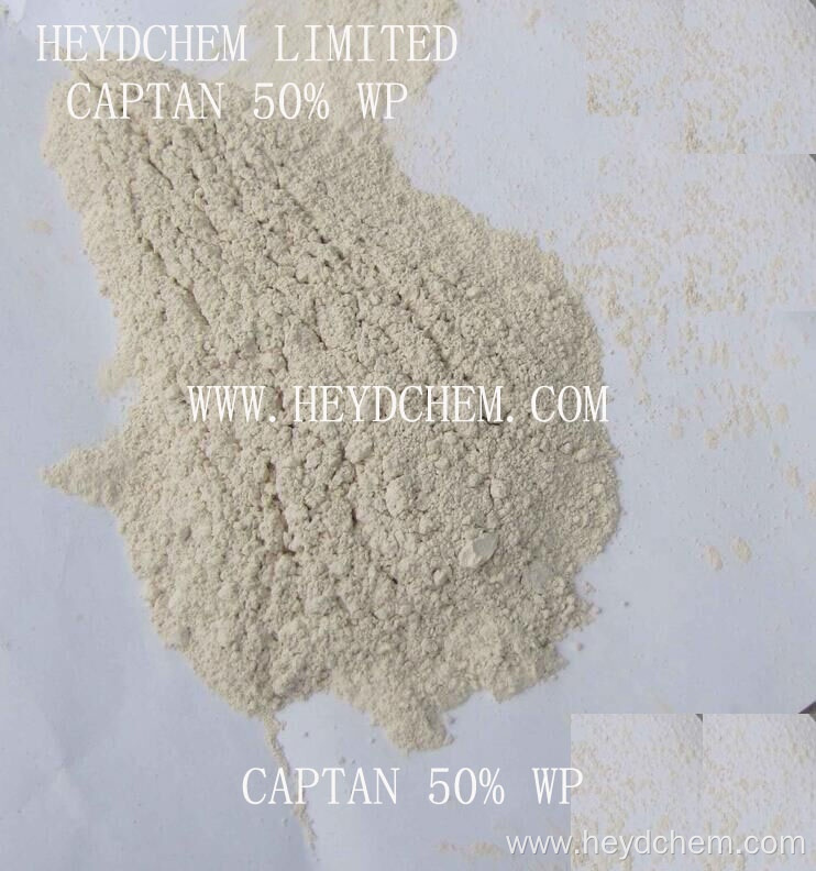 Hot!! Bio pesticide fungicide Captan 50% WP