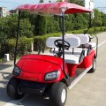 Carrello da golf elettrico con sedile fisso