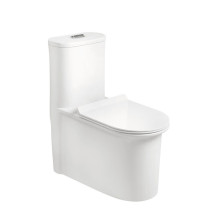 one piece single flush toilet