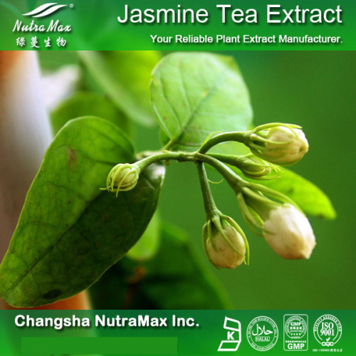 100% Nutral Jasmine Tea Extract (40% Polyphenol (UV))