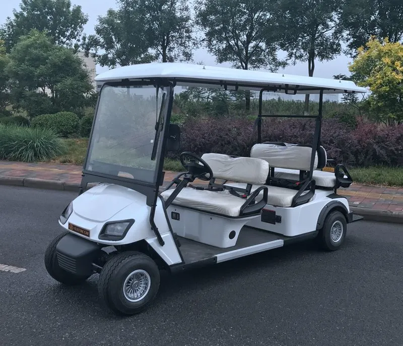 Ce Approved 6 Seater Hunting Electric Golf Cart with Rear Flip Seat