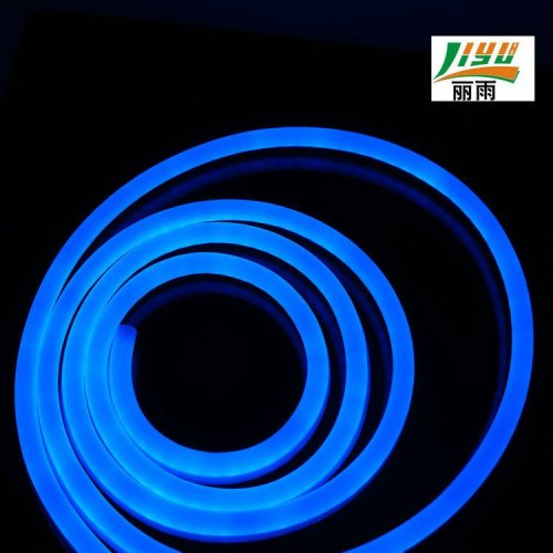 Beautiful Led Neon Flex Color Jacket