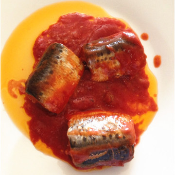 Poisson sardine en conserve avec sauce tomate