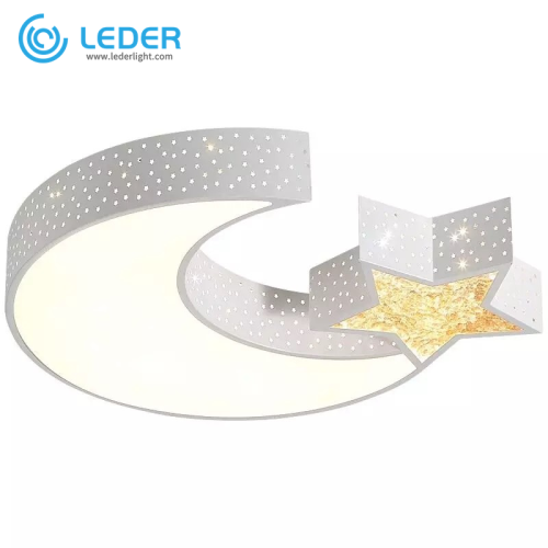 LEDER Flush Ceiling Recessed Lighting