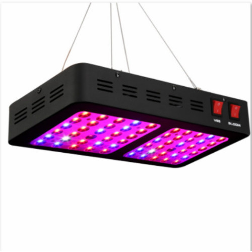 Luces de cultivo LED de espectro completo azul blanco rojo