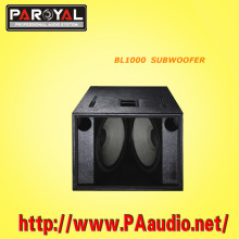 High Power Subwoofer SB1000