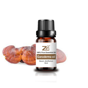 100 ٪ روغن اسپور Ganoderma Lucidum با خلوص بالا