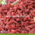 Factory Grossist Super Food Nutrition Ningxia Goji