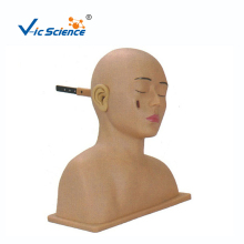 Advanced Ear Diagnostic Simulator Model