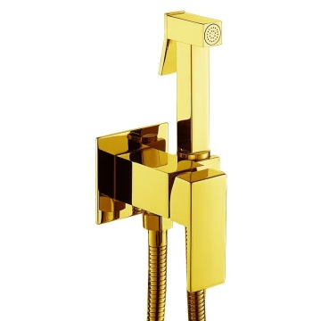 Modern Brass Steel Bidet Sprayer Set for Bathroom Flushers and Toilets