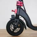 Scooter elettrici di acero nero certificato CE