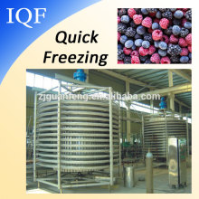 Professional Spiral Freezer Food Ice Cream Batch Freezer