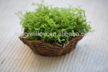 iron frame willow body wicker baskets for plants with plastic lining