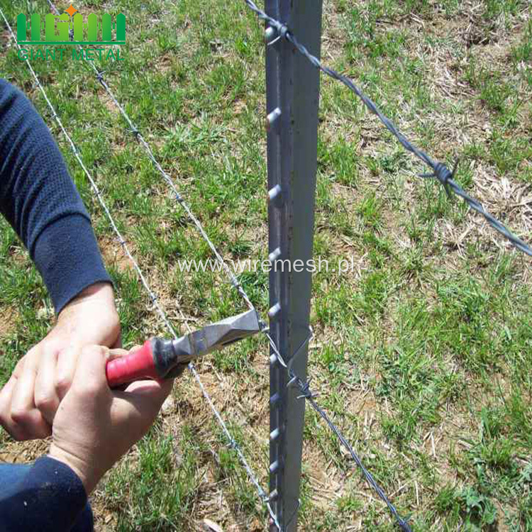 studded  post farm fencing