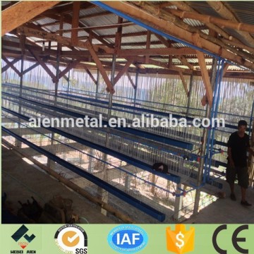 colony broiler chicken cage with automatic drinker system