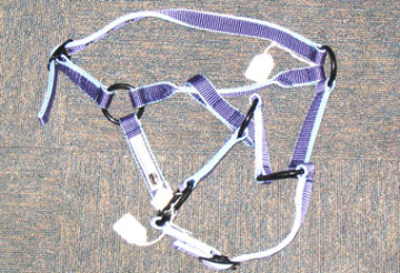 Headstall (HS-04)