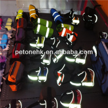 dog harnesses and leashes