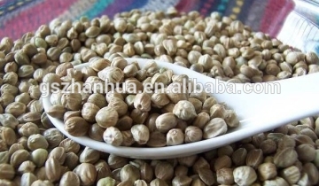 2015 Crop Hemp Seeds Wholesale