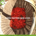 Best Quality Nutrition Dried Bio Goji Berries