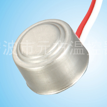 Home Appliance Thermostat?