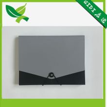 plastic paper file folder & file holder