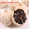 Antioxidant Black Garlic For Culinary Application