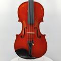 Imported European Material Violin for Advanced Level