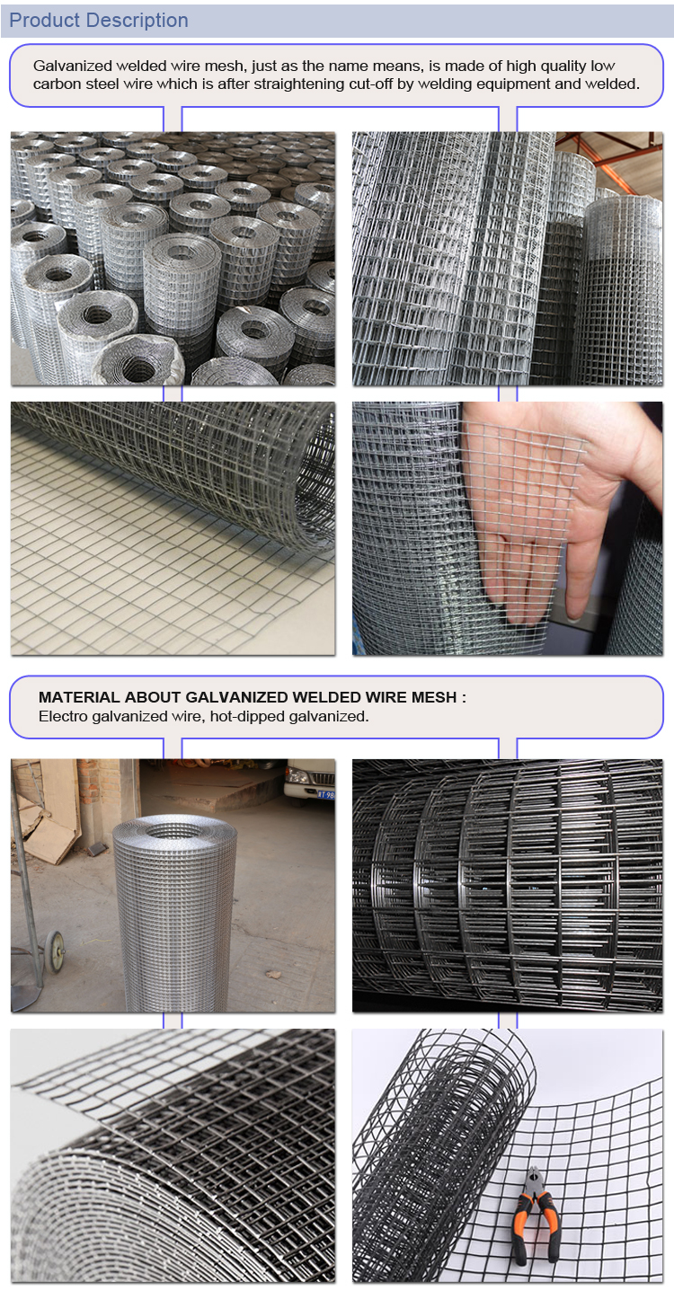 3FT And 4FT Pvc Coated Welded Wire Mesh