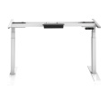 Sit Stand Lifting Dual Motor Electric Desk