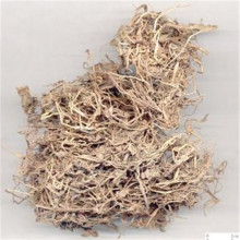 Top quality Lobelia chinensis herba Banbianlian Anti-Cancer