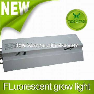 PL 55W Flurescent grow light