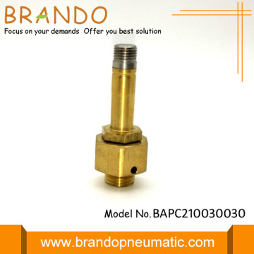 Copper Yellow Solenoid Valve Armature