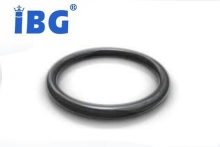 FKM+Teflon PFA  Encapsulated  O-Ring