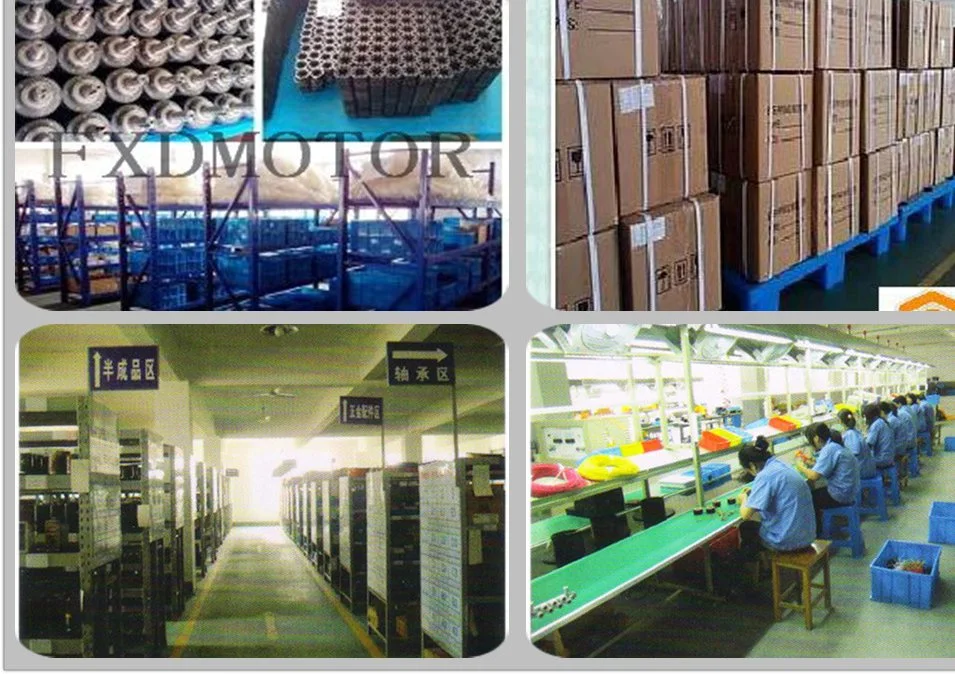 Factory Direct Sale 57 Brushless DC Motor Maintenance Market Special Motor