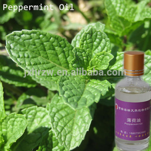 Organic Peppermint Oil Prices